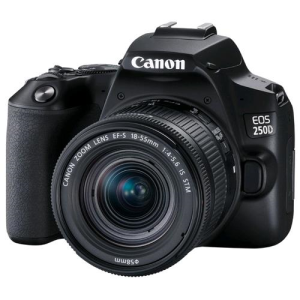 Canon EOS 250D черный 24.2Mpix EF-S 18-55mm f/1:4-5.6 IS STM 3" 4K Full HD SDXC Li-ion - фото 104983