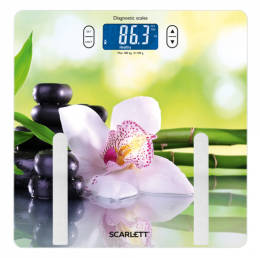 Scarlett SC-BS33ED10