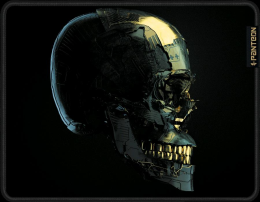 Jet.A Panteon GP-02SS WILD SWAT