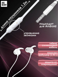 Aksberry АM10 Sport с микрофоном (черный) (А0027902)