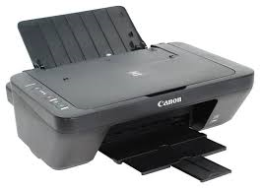 Canon Pixma MG2541S