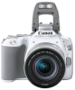 Canon EOS 250D белый 24.2Mpix EF-S 18-55mm f/1:4-5.6 IS STM 3" 4K Full HD SDXC Li-ion - фото 104978
