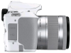 Canon EOS 250D белый 24.2Mpix EF-S 18-55mm f/1:4-5.6 IS STM 3" 4K Full HD SDXC Li-ion - фото 104979