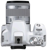 Canon EOS 250D белый 24.2Mpix EF-S 18-55mm f/1:4-5.6 IS STM 3" 4K Full HD SDXC Li-ion - фото 104981