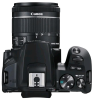 Canon EOS 250D черный 24.2Mpix EF-S 18-55mm f/1:4-5.6 IS STM 3" 4K Full HD SDXC Li-ion - фото 104987