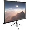 Экран Cactus 180x180см TriExpert CS-PSTE-180x180-BK 1:1 напольный рулонный - фото 175421