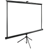 Экран Cactus 180x180см TriExpert CS-PSTE-180x180-BK 1:1 напольный рулонный - фото 175422