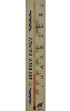 Термометр для бани и сауны ТБС-41 - фото 190795