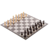 Настольная игра Spin Master шахматы классические - фото 38518