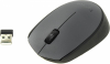 Logitech WRL M170 Grey (910-004646) - фото 44081