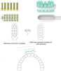Xiaomi Mi Electric Toothbrush Head, 3 шт NUN4001CN - фото 729652