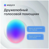 VK Капсула Мини темный серый (MRC02BK) - фото 756044