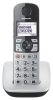 Panasonic KX-TGE510RUS серебристый - фото 767943