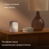 Яндекс Станция Макс с Алисой, с Zigbee, бежевый YNDX-00053 - фото 773089