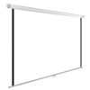 Экран Cactus 220x220см WallExpert CS-PSWE-220x220-WT 1:1 настенно-потолочный рулонный - фото 80898